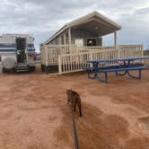 Review photo of Lake Havasu State Park Campground by Kathy B., March 16, 2026