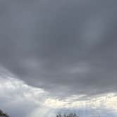 Review photo of Lake Havasu State Park Campground by Kathy B., March 16, 2026