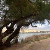 Review photo of Kern River County Park by Kathy B., March 16, 2026