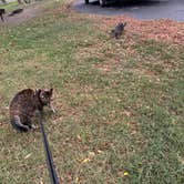 Review photo of Kern River County Park by Kathy B., March 16, 2026