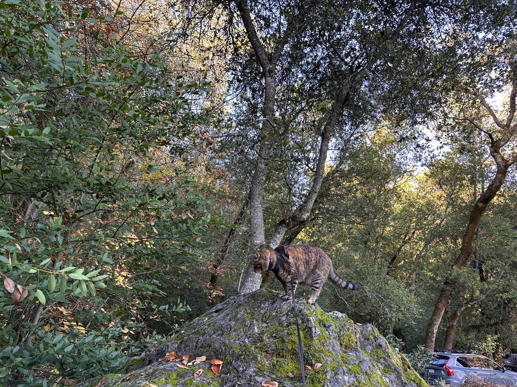 Camper-submitted photo at Sugarloaf Ridge State Park Campground near St. Helena, CA