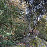 Review photo of Sugarloaf Ridge State Park Campground by Kathy B., March 16, 2026