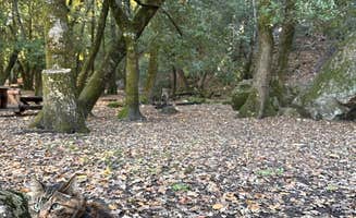 Kathy B.'s photo of camping with pets at Sugarloaf Ridge State Park Campground near Windsor, CA