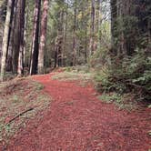 Review photo of Burlington Campground — Humboldt Redwoods State Park by Kathy B., March 16, 2026