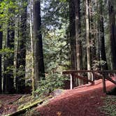 Review photo of Burlington Campground — Humboldt Redwoods State Park by Kathy B., March 16, 2026