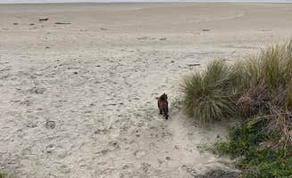 Kathy B.'s photo of camping with pets at Beachside State Recreation Site near Seal Rock, OR