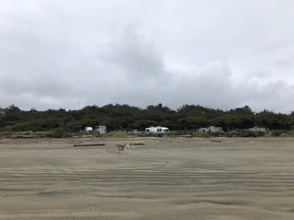Kathy B.'s photo of camping with pets at Beachside State Recreation Site near Depoe Bay, OR