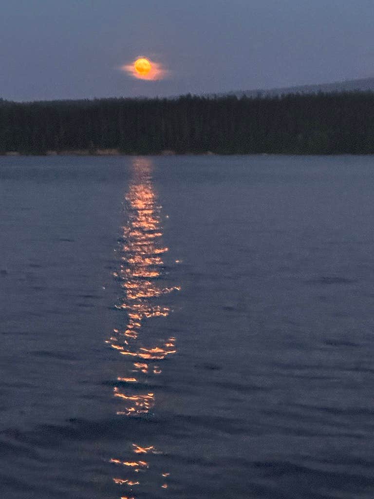 Camper-submitted photo at The Cove (Timothy Lake) Day-Use near Mt. Hood National Forest