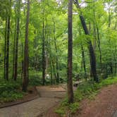 Review photo of Andrew's Cove Campground — Chattahoochee Oconee National Forest by Camp With Me , March 16, 2026