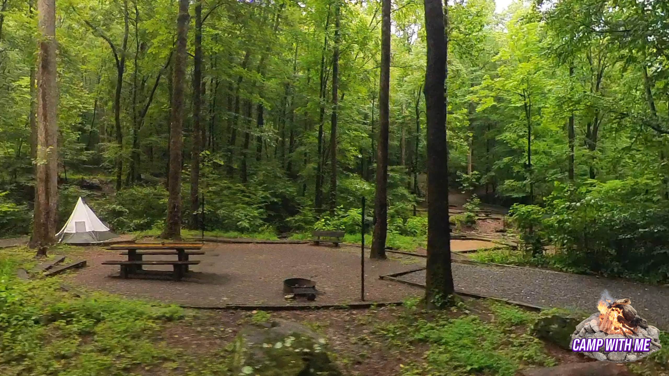 Camper-submitted photo at Andrew's Cove Campground — Chattahoochee Oconee National Forest near Helen, GA