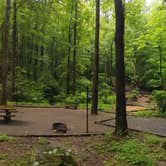 Review photo of Andrew's Cove Campground — Chattahoochee Oconee National Forest by Camp With Me , March 16, 2026