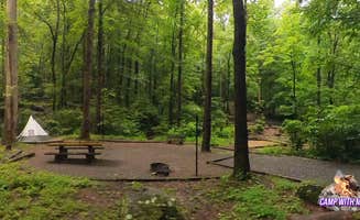 Camp With Me's photo at Andrew's Cove Campground — Chattahoochee Oconee National Forest near Helen, GA