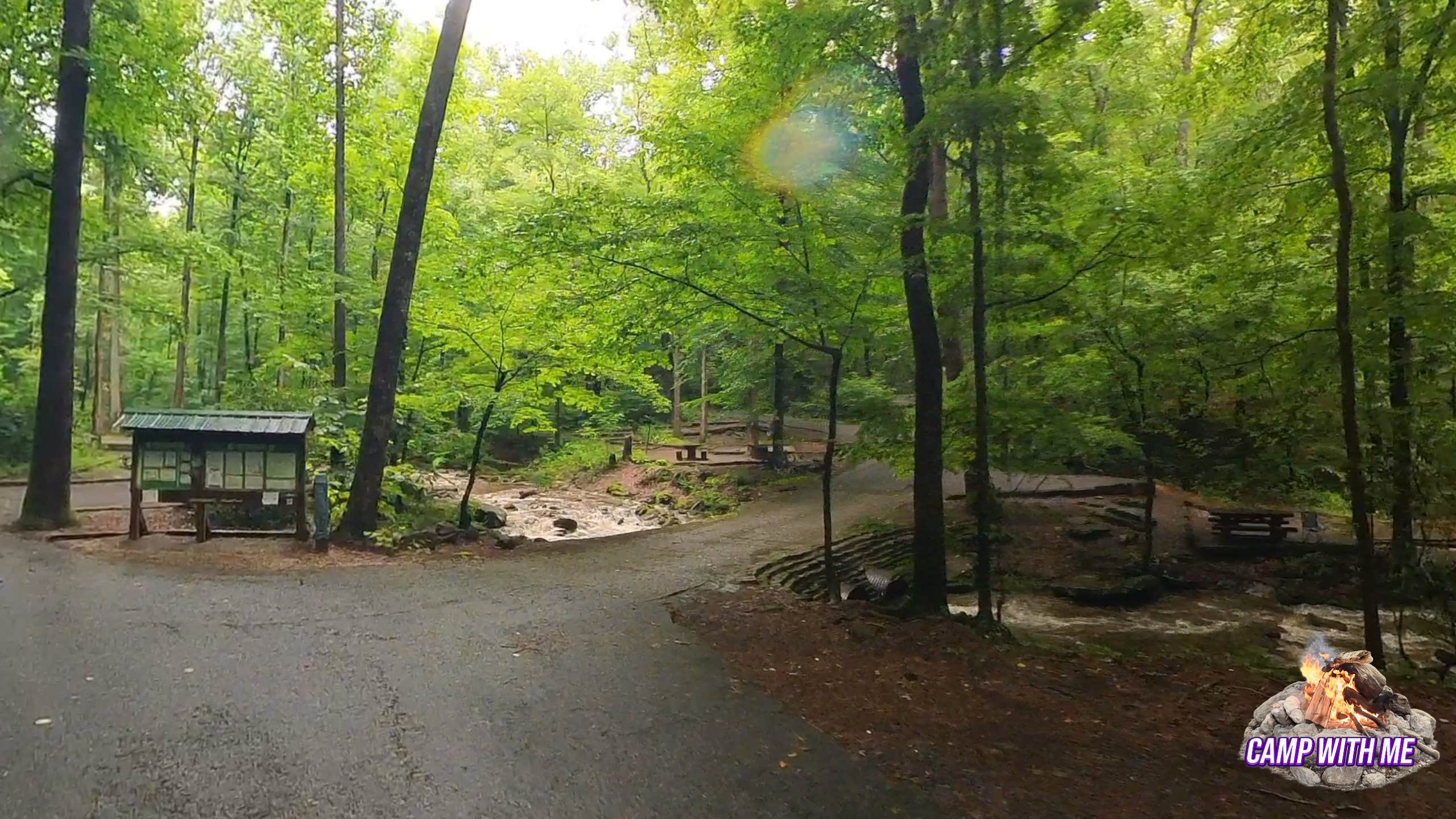 Camping near Unicoi State Park & Lodge: Andrew's Cove Campground — Chattahoochee Oconee National Forest, Helen, Georgia