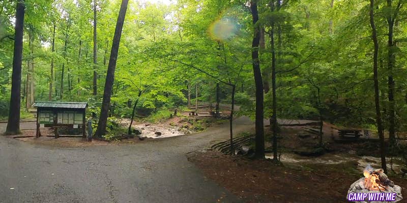 Camper submitted image from Andrew's Cove Campground — Chattahoochee Oconee National Forest