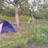 Review photo of Lake Eufaula — Arrowhead State Park by Kelly Z., June 23, 2016