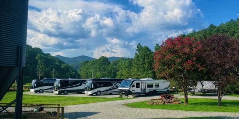 Camper submitted image from The Meadows at Double Creek RV Campground