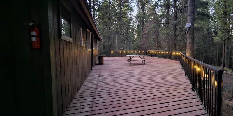 Camper submitted image from THE BEAR NECESSITIES