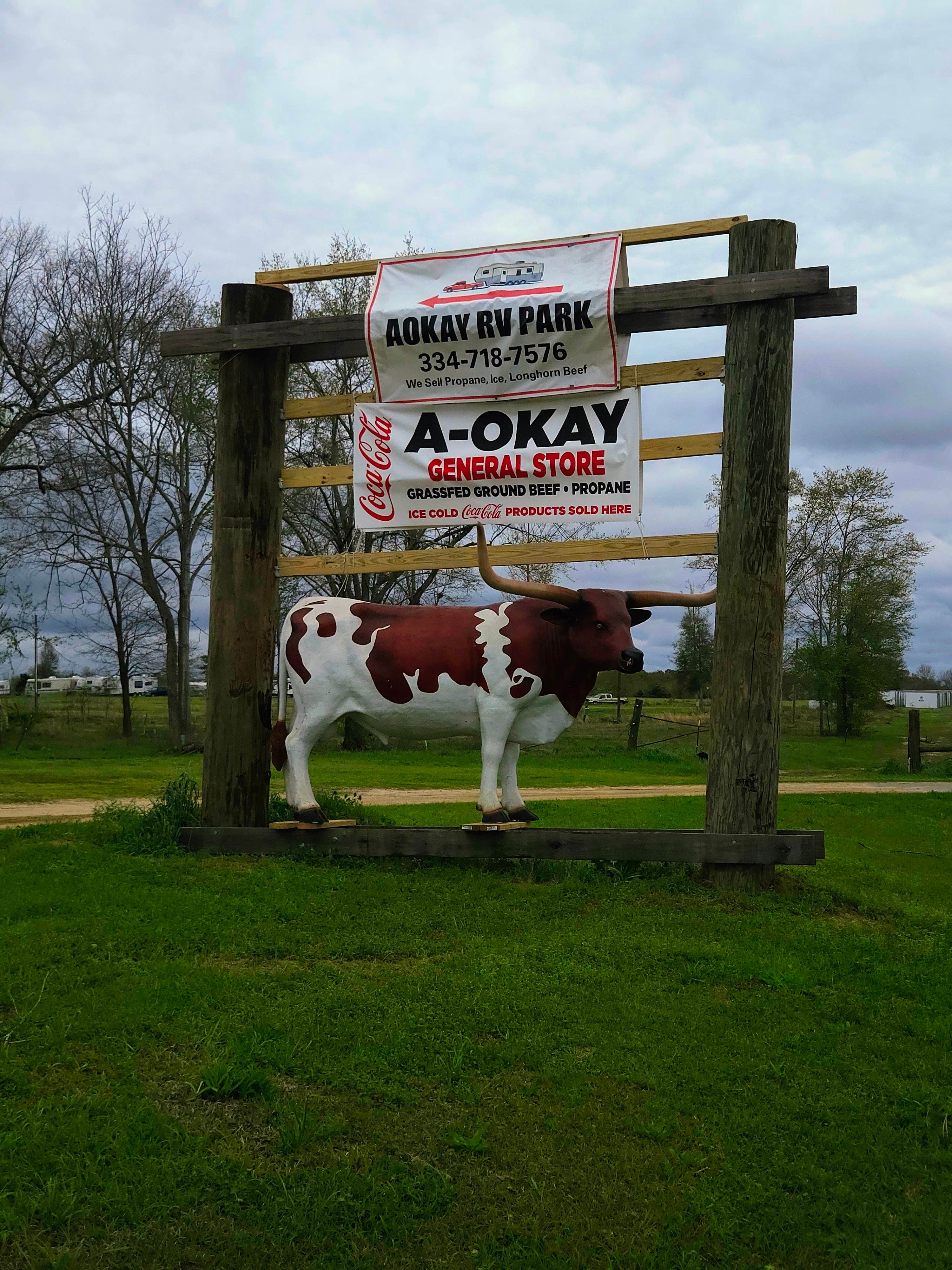 Camper-submitted photo at A-Okay RV Park near Marianna, FL