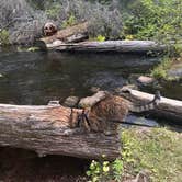 Review photo of Clear Creek Crossing Campground by Kathy B., March 17, 2026