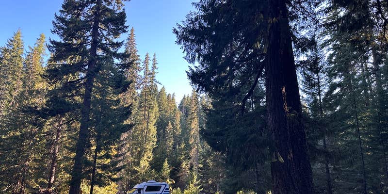 Camper submitted image from Clear Creek Crossing Campground