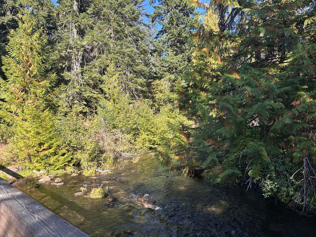 Camper-submitted photo at Clear Creek Crossing Campground near Mt. Hood National Forest