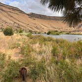 Review photo of Mecca Flat Campground by Kathy B., March 17, 2026