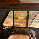 Review photo of Mecca Flat Campground by Kathy B., March 17, 2026