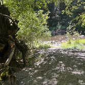 Review photo of Kingfisher Mt. Hood National Forest by Kathy B., March 17, 2026