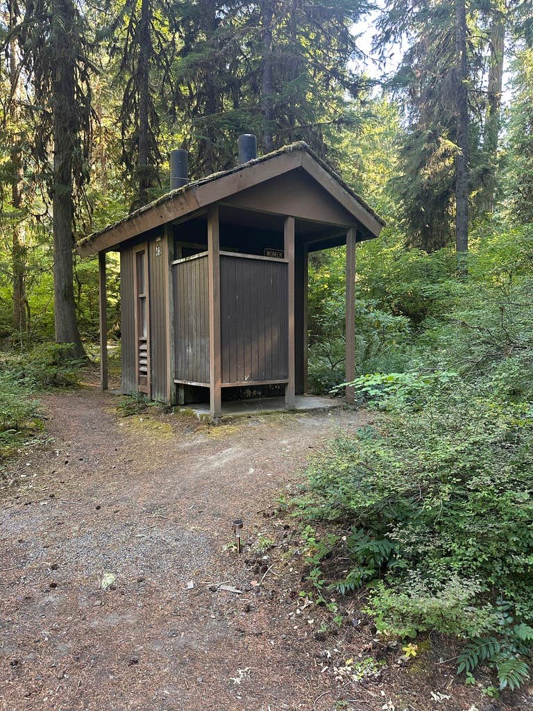 Kingfisher Mt. Hood National Forest