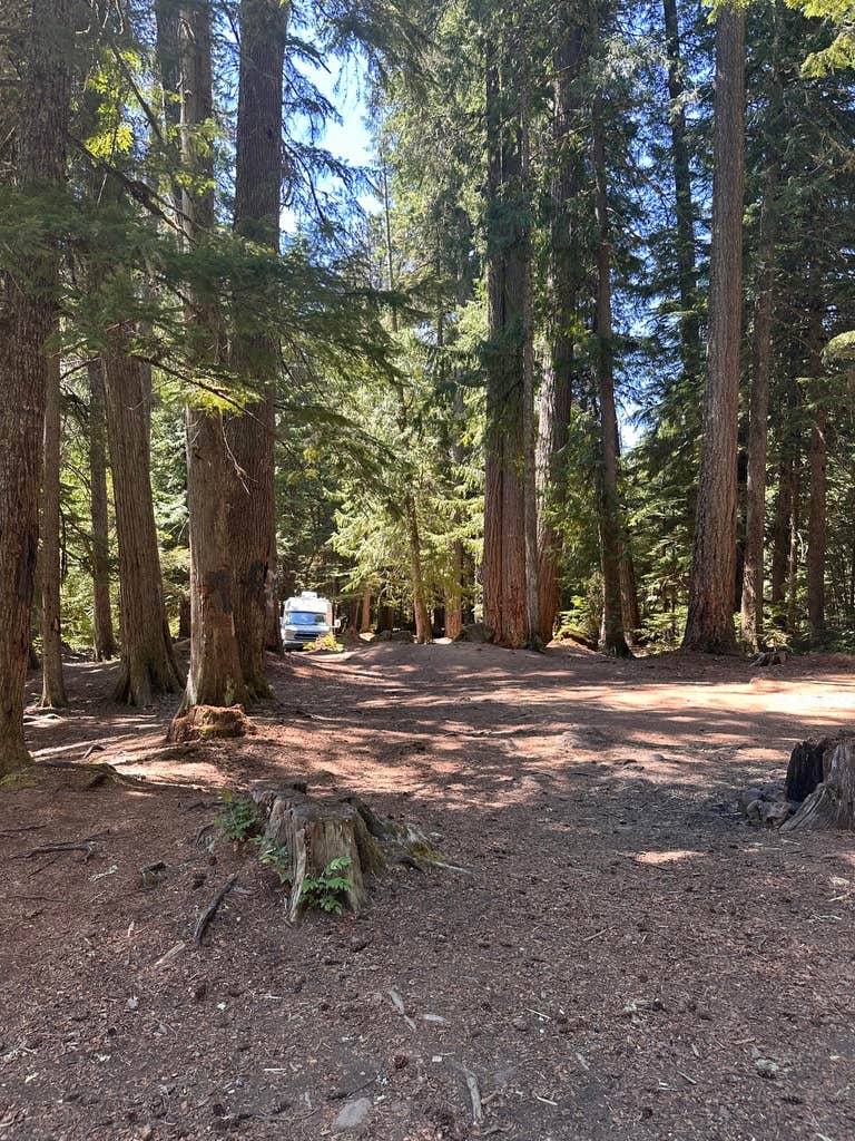 Camper-submitted photo at Beautiful Spot NF 4630 by the River near Gervais, OR