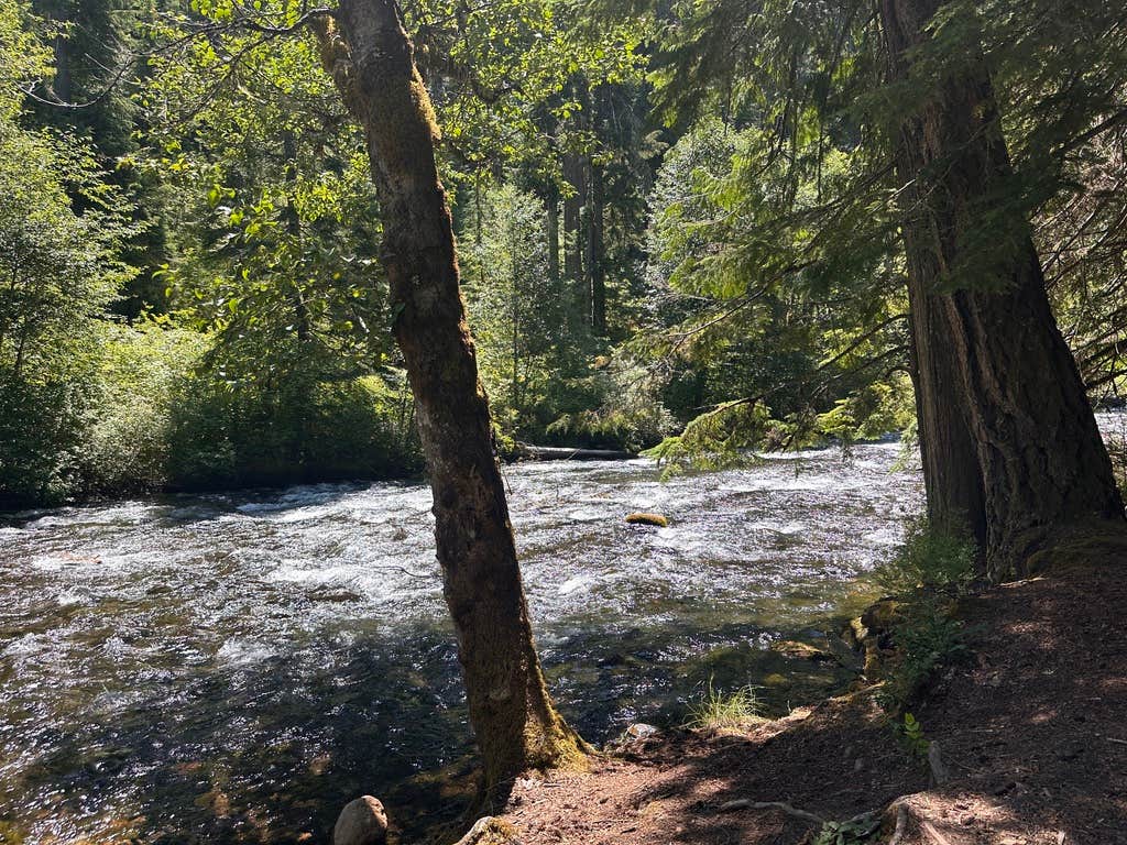 Camper-submitted photo at Beautiful Spot NF 4630 by the River near Gervais, OR