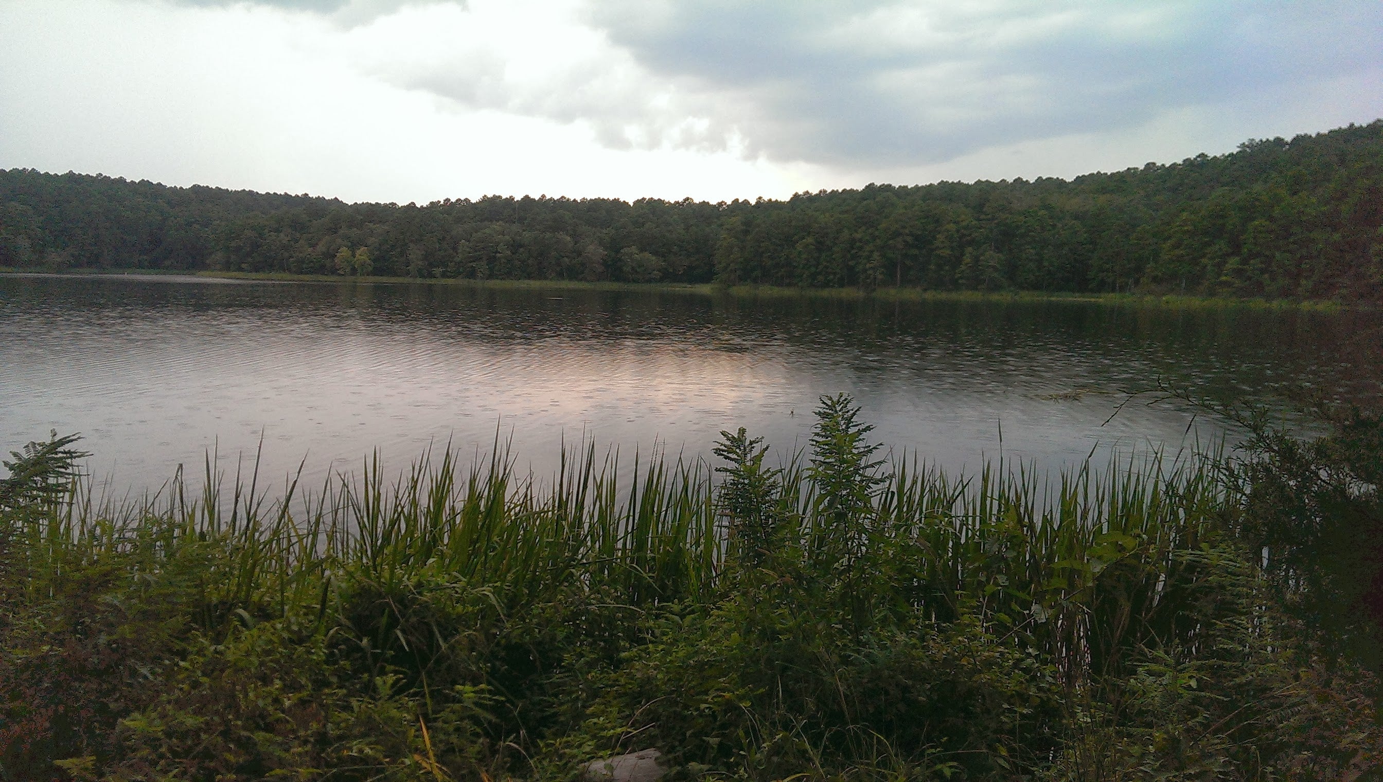 Camper submitted image from Cedar Lake Equestrian Campground - 3