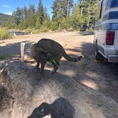 Review photo of Kinnikinnick (laurance Lake) Campground by Kathy B., March 17, 2026