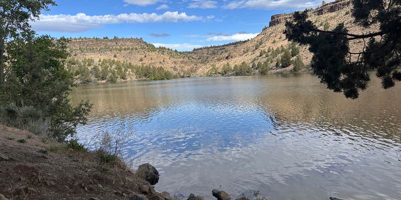 Camper submitted image from Pelton Park Campground