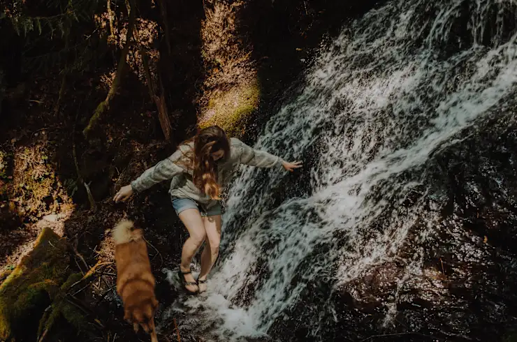 Rachel B.'s photo of camping with pets at Crystal Creek Cabin near Sandy, OR