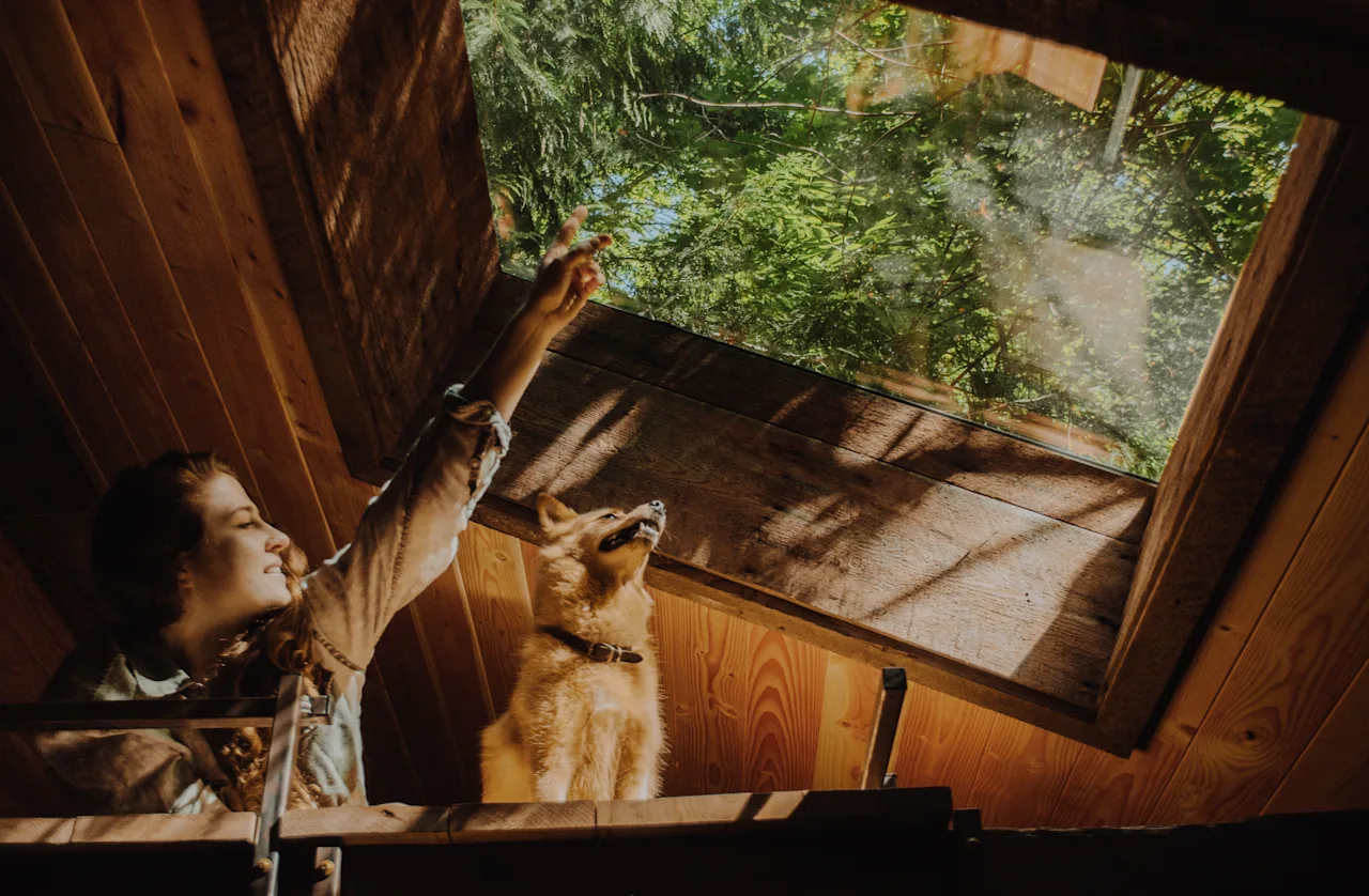 Rachel B.'s photo of camping with pets at Crystal Creek Cabin near Estacada, OR