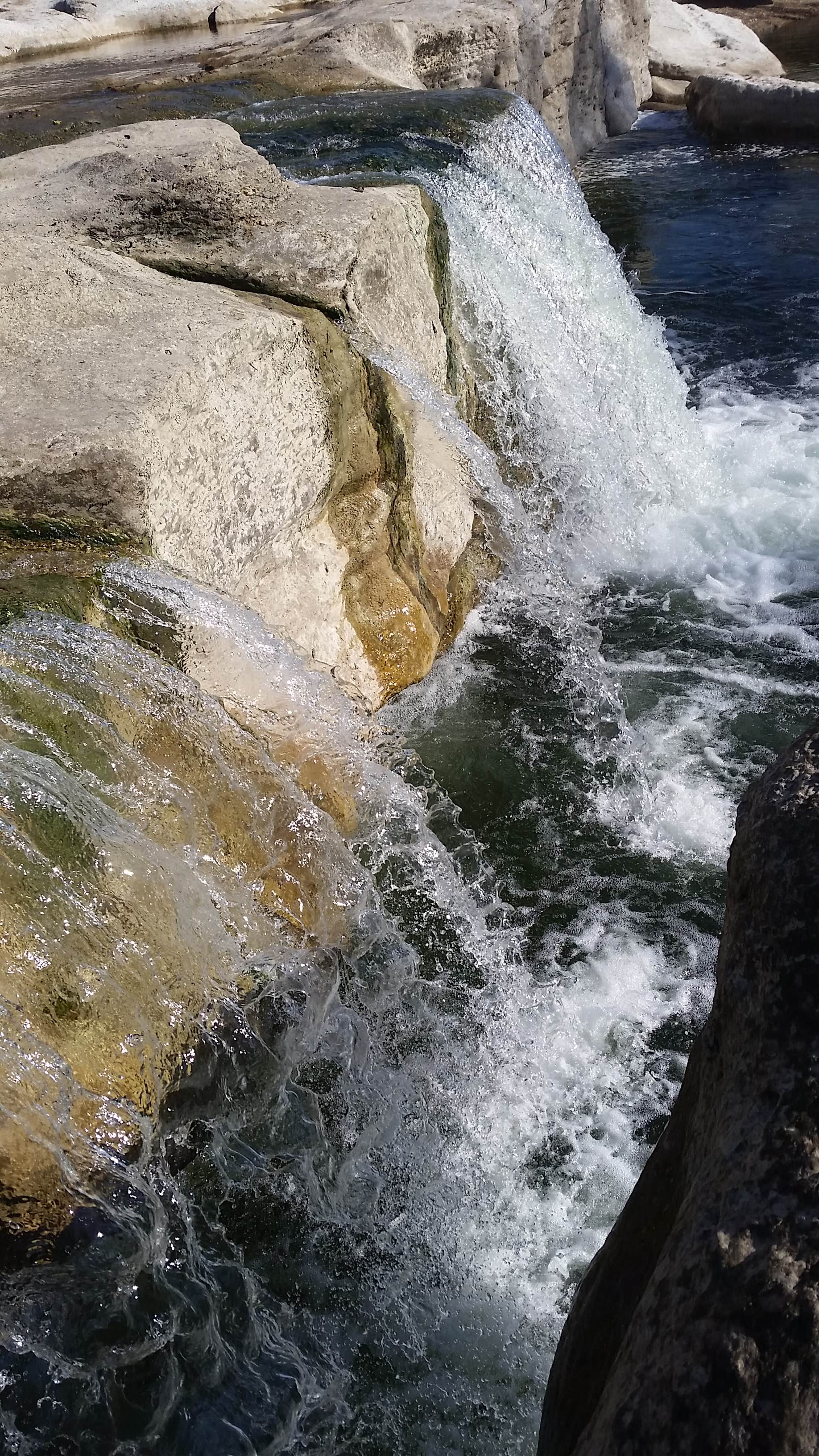Camper submitted image from McKinney Falls State Park Campground - 2