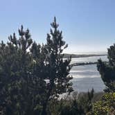 Review photo of Harbor Vista Campground by Kathy B., March 18, 2026