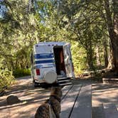 Review photo of Tyee Campground (umpqua River) by Kathy B., March 18, 2026