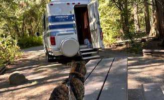 Kathy B.'s photo of camping with pets at Tyee Campground (umpqua River) near Dorena, OR