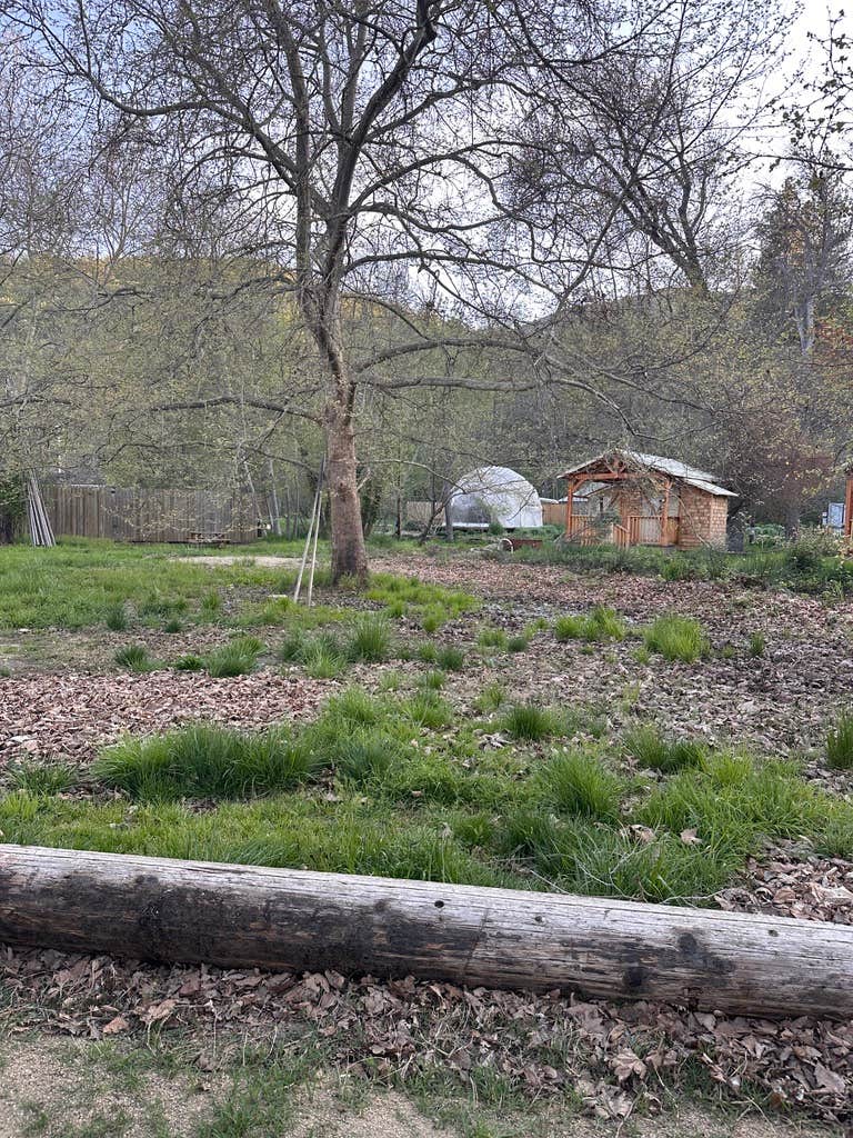 Camping near Mr. Bigfoot RV Park: Jackson Wellsprings, Talent, Oregon