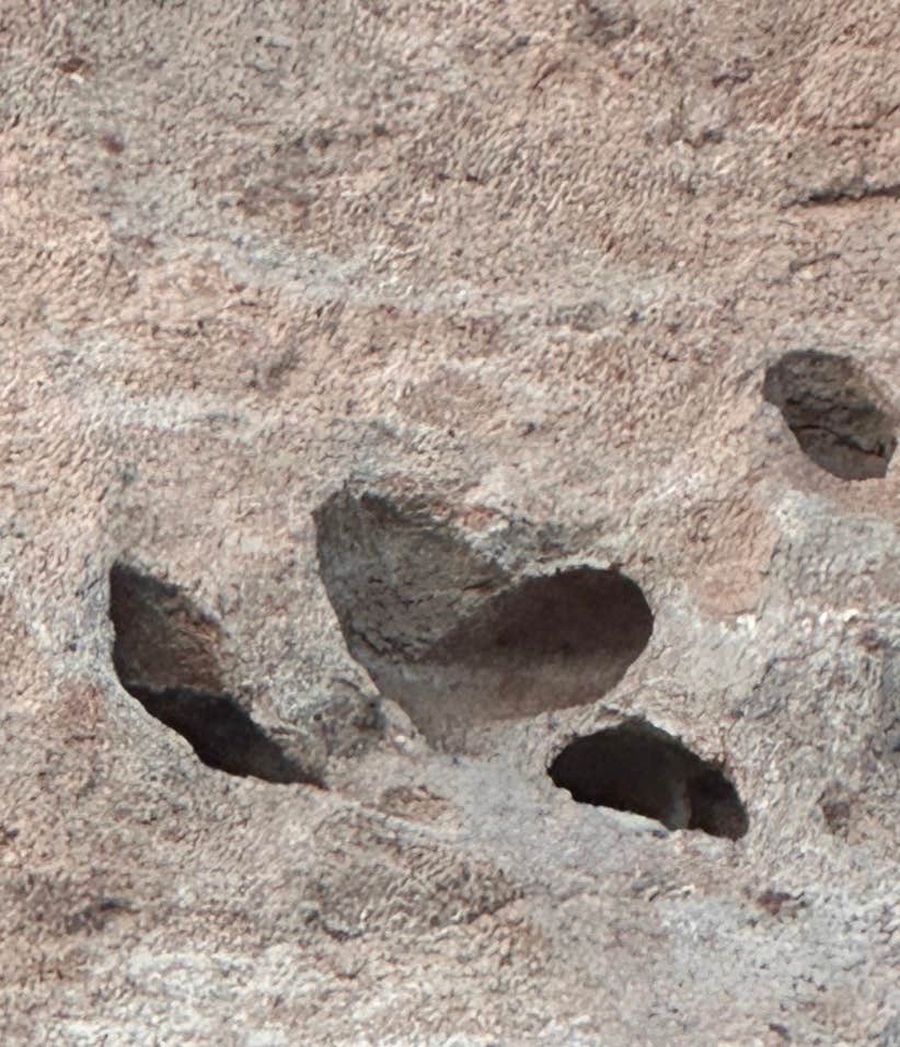 Camper-submitted photo at Pleasant Valley Campground near Tahoe National Forest