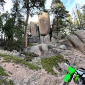 Review photo of Mount Herman Road Dispersed Camping by Matthew C., March 18, 2026