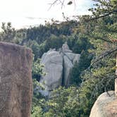 Review photo of Mount Herman Road Dispersed Camping by Matthew C., March 18, 2026