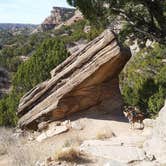 Review photo of Fortress Cliff Primitive — Palo Duro Canyon State Park by Jennifer J., September 23, 2016