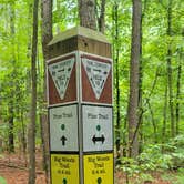 Review photo of Powhatan State Park Campground by Troli R., March 19, 2026