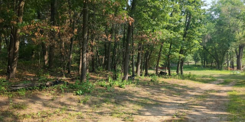 Camper submitted image from Larson’s Landing – Backwater Camping Near Red Wing