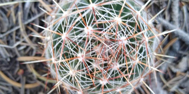 Camper submitted image from Aarondale campground