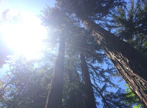 Pfeiffer Big Sur State Park Campground