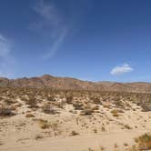 Review photo of Joshua Tree South - BLM Dispersed by Kathy B., March 20, 2026